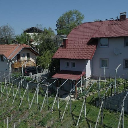 Apartment House Sumrak Bizeljsko Exterior foto